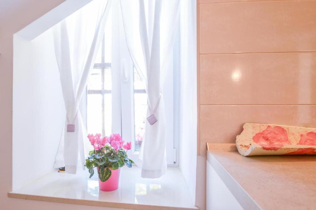 Apartman Ivano Pula Zewnętrze zdjęcie